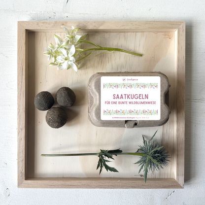 Saatkugeln großes Set mit 6 Kugeln Motiv "Saatkugeln-für eine bunte Blumenwiese" vor Blumen
