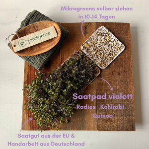 saatpad-violett-foodigence-9