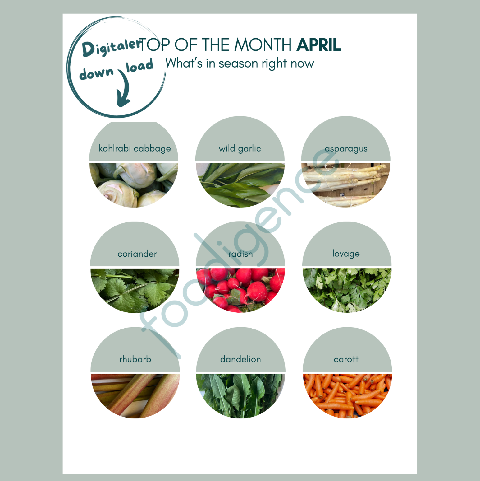 saisonkalender-april-eng-foodigence-1