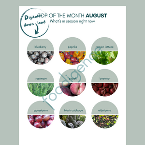 saisonkalender-august-eng-foodigence-1