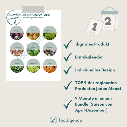 Übersicht Saisonkalender  bzw. Erntekalender von foodigence