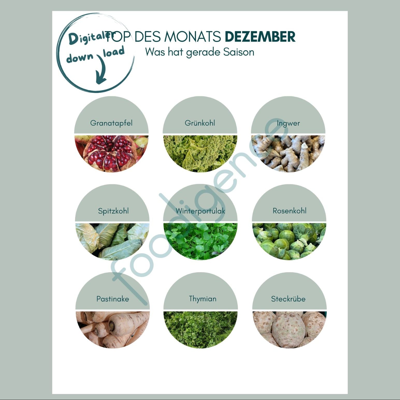 Saisonkalender Dezember mit Top 9 regionalen Lebensmitteln - foodigence Infografik