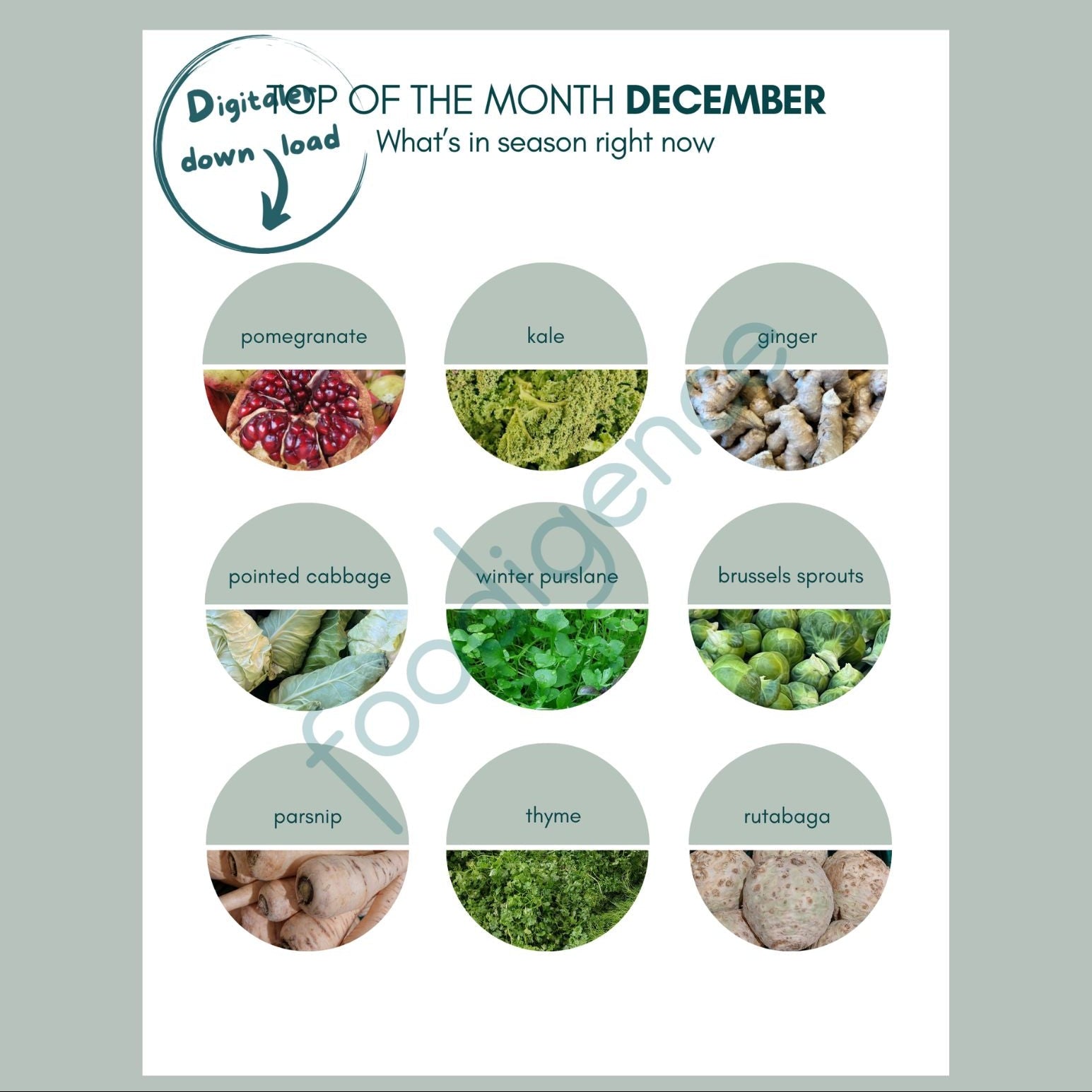 December seasonal calendar with top 9 regional foods - foodigence infographic