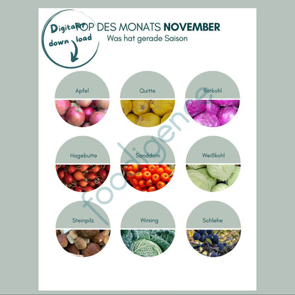 Saisonkalender November mit Top 9 regionalen Lebensmitteln - foodigence Infografik