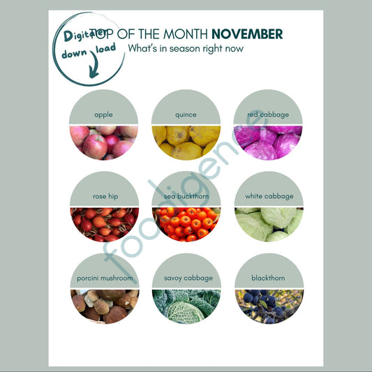November seasonal calendar with top 9 regional foods - foodigence infographic