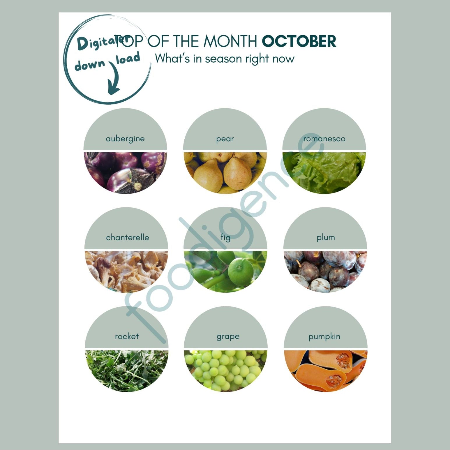 October seasonal calendar with top 9 regional foods - foodigence infographic