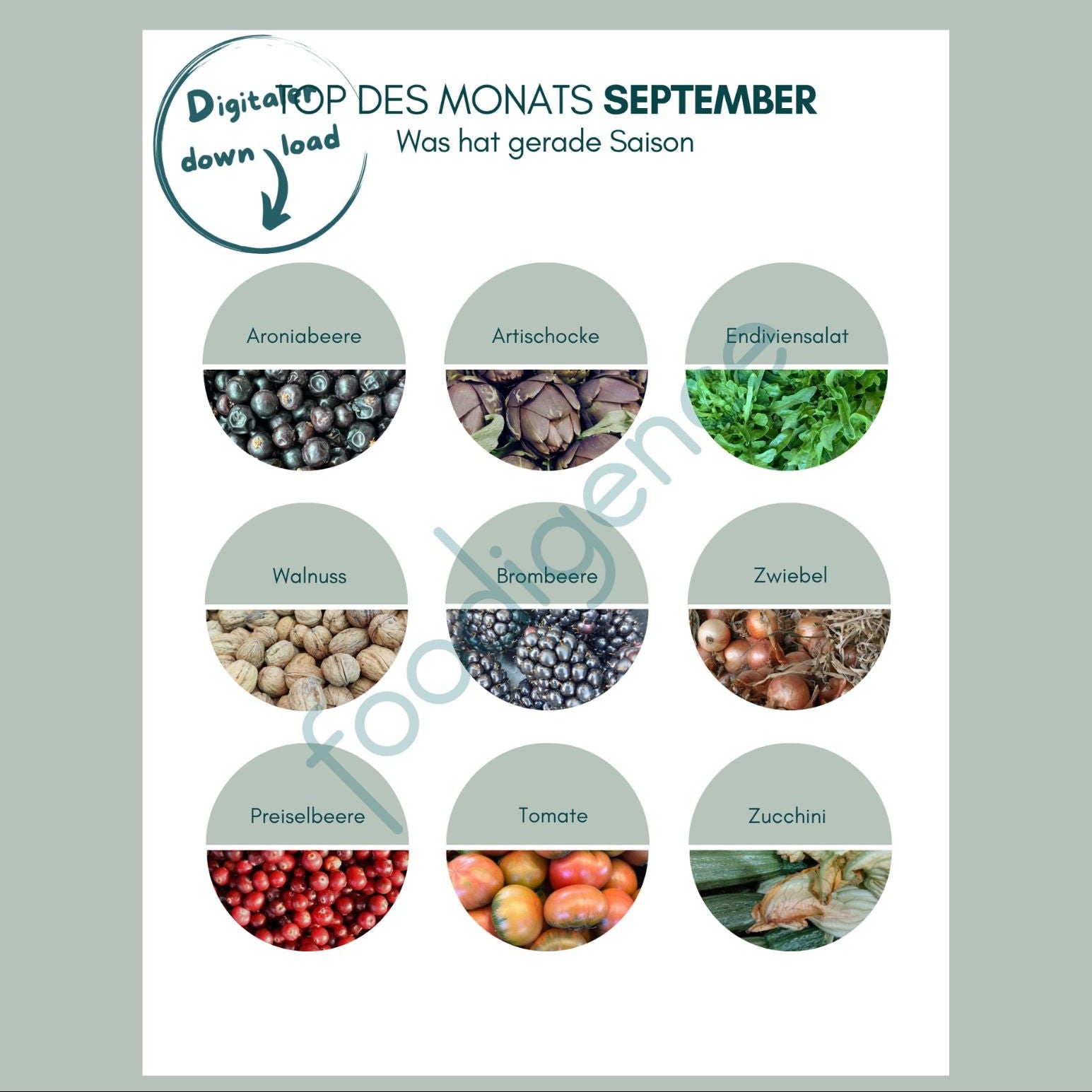 Saisonkalender September mit Top 9 regionalen Lebensmitteln - foodigence Infografik