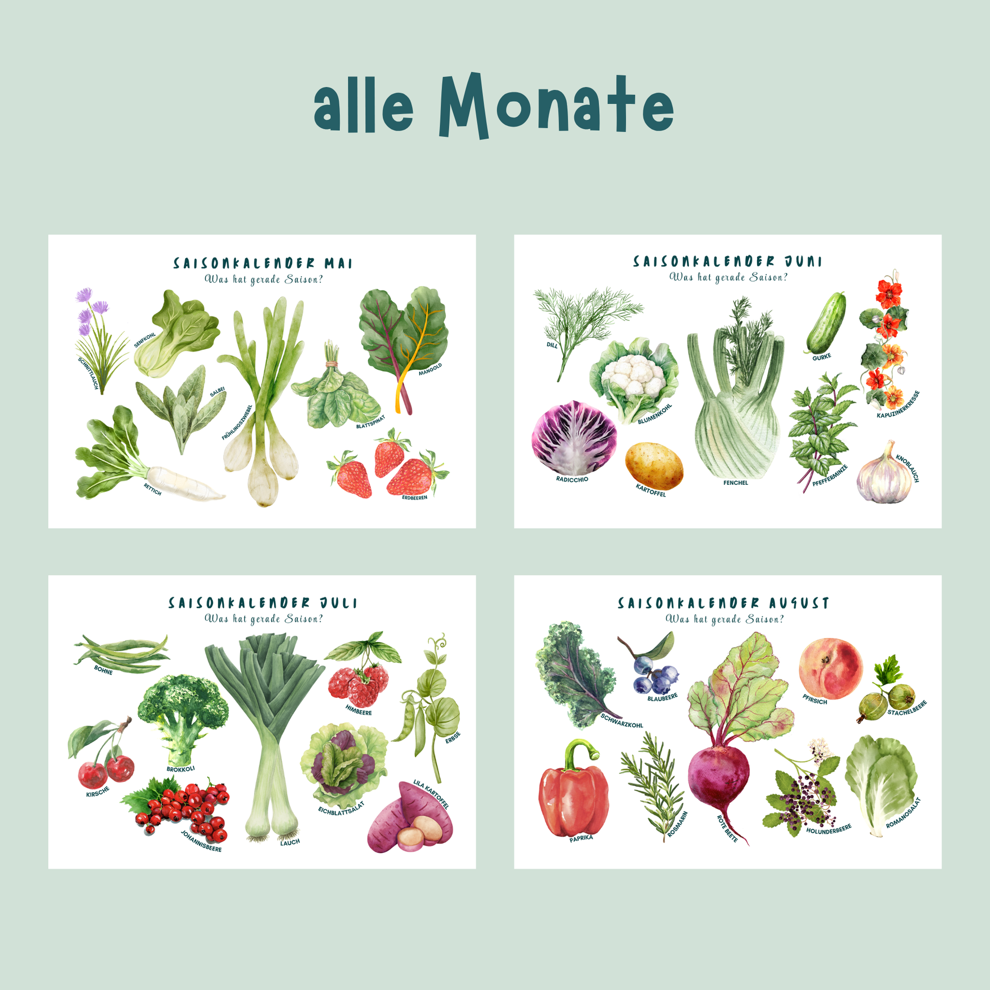 Übersicht der Poster zu Saisonkalender von foodigence