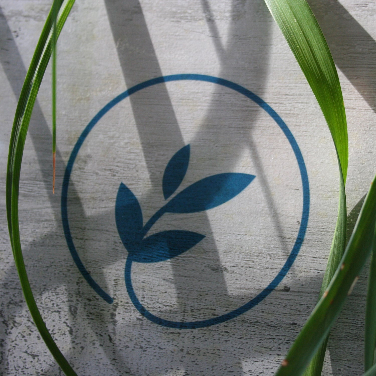 schilffgras-logo-foodigence