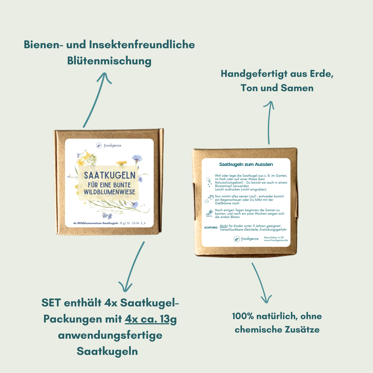 Übersicht Vorder & Rückseite