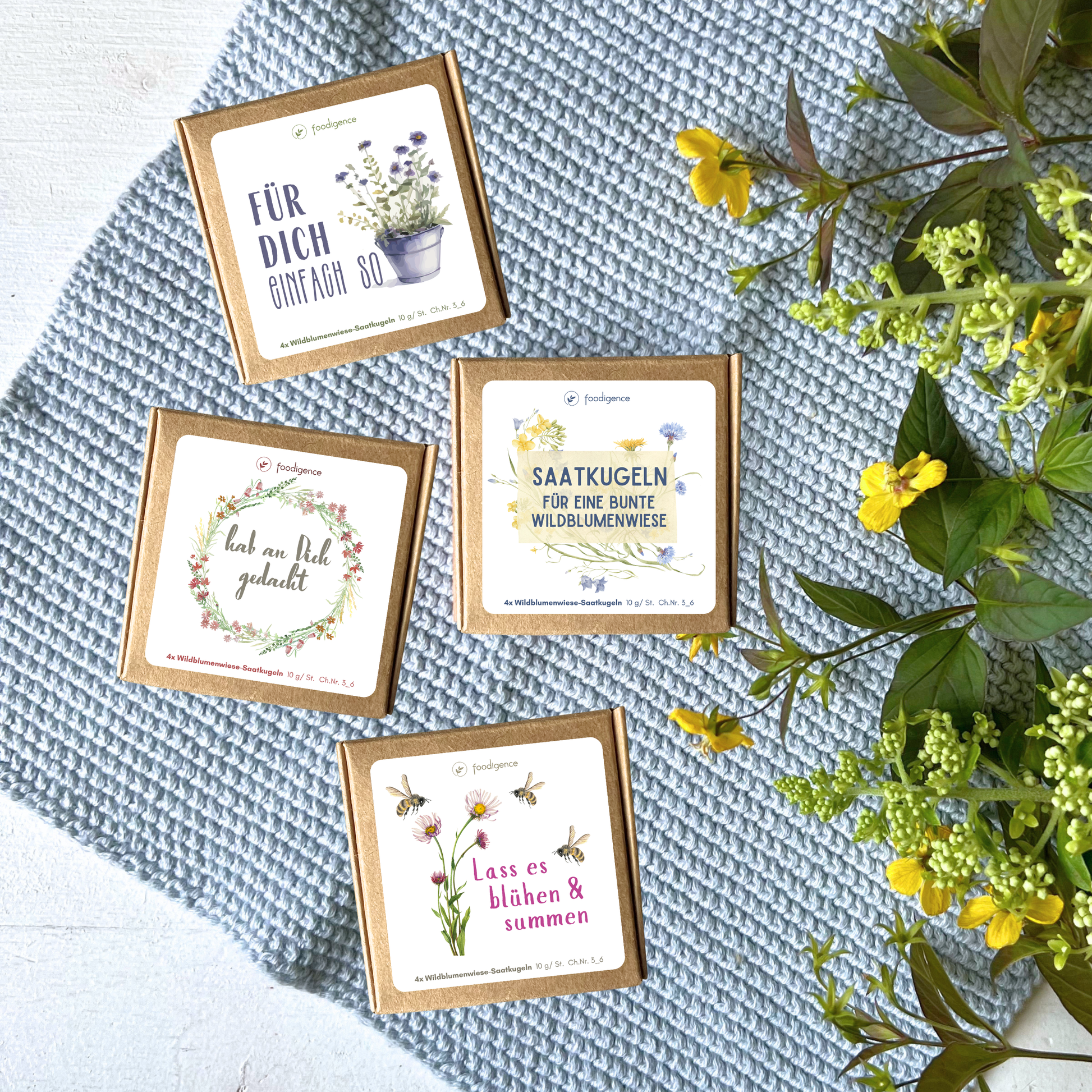Übersicht alle 4 Designs von foodigence
