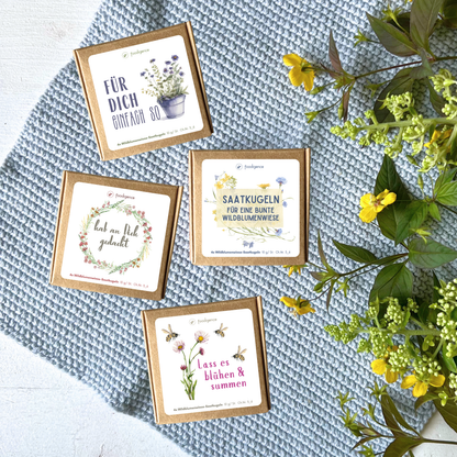 Übersicht alle 4 Designs von foodigence
