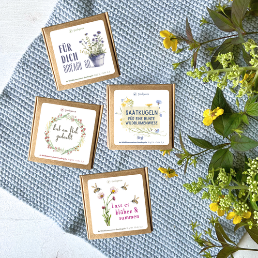 Übersicht alle 4 Designs von foodigence