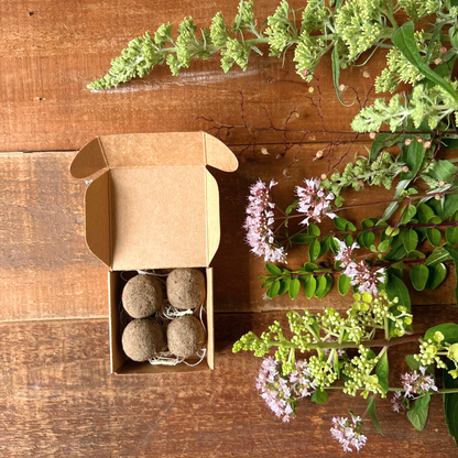 quadratische verpackung geöffnet mit 4 Saatkugeln von foodigence