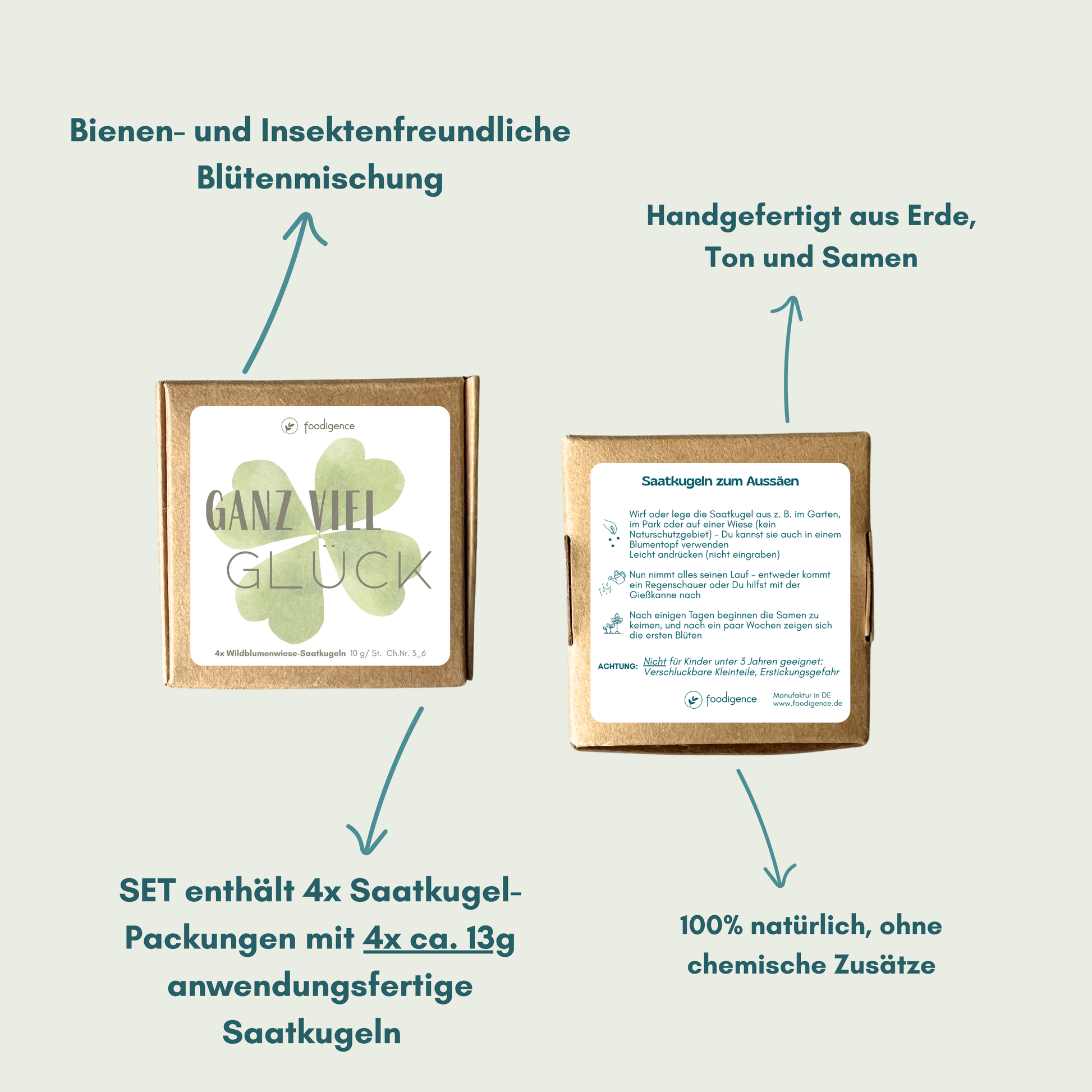 Übersicht zum nachhaltigen Produkt Saatkugeln von foodigence