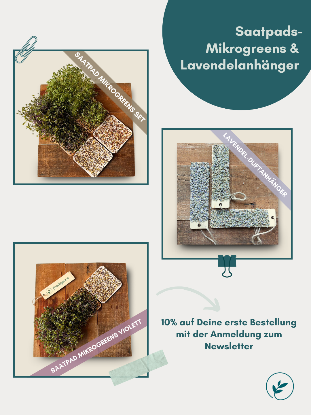 foodigence-Übersicht zur Produktgruppe Saatpads Mikrogreens und Lavendelanhänger im Shop ideal für deinen bewussten nachhaltigen  Lifestyle