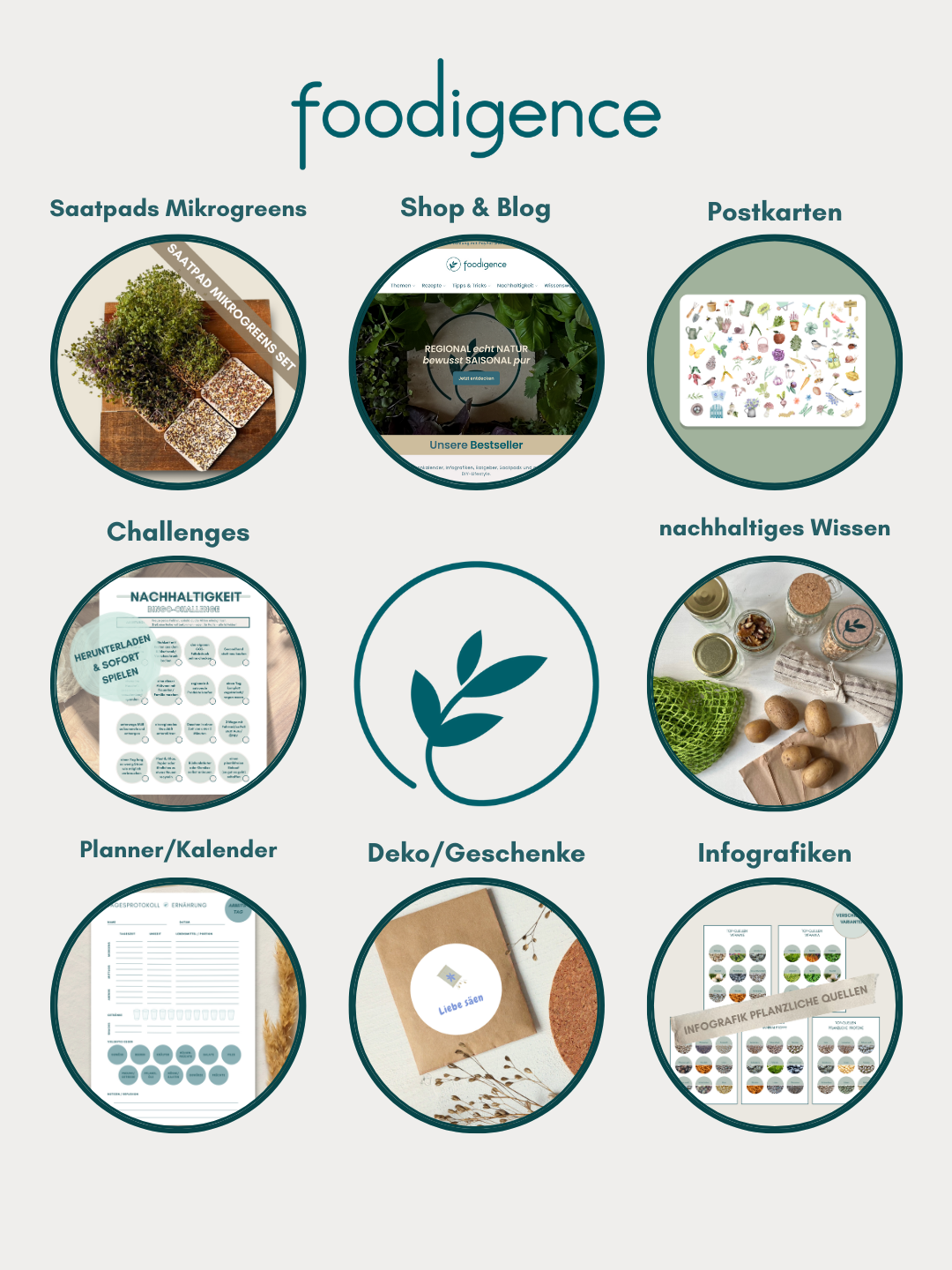 Gesamtüberblick foodigence Kategorien im Onlineshop