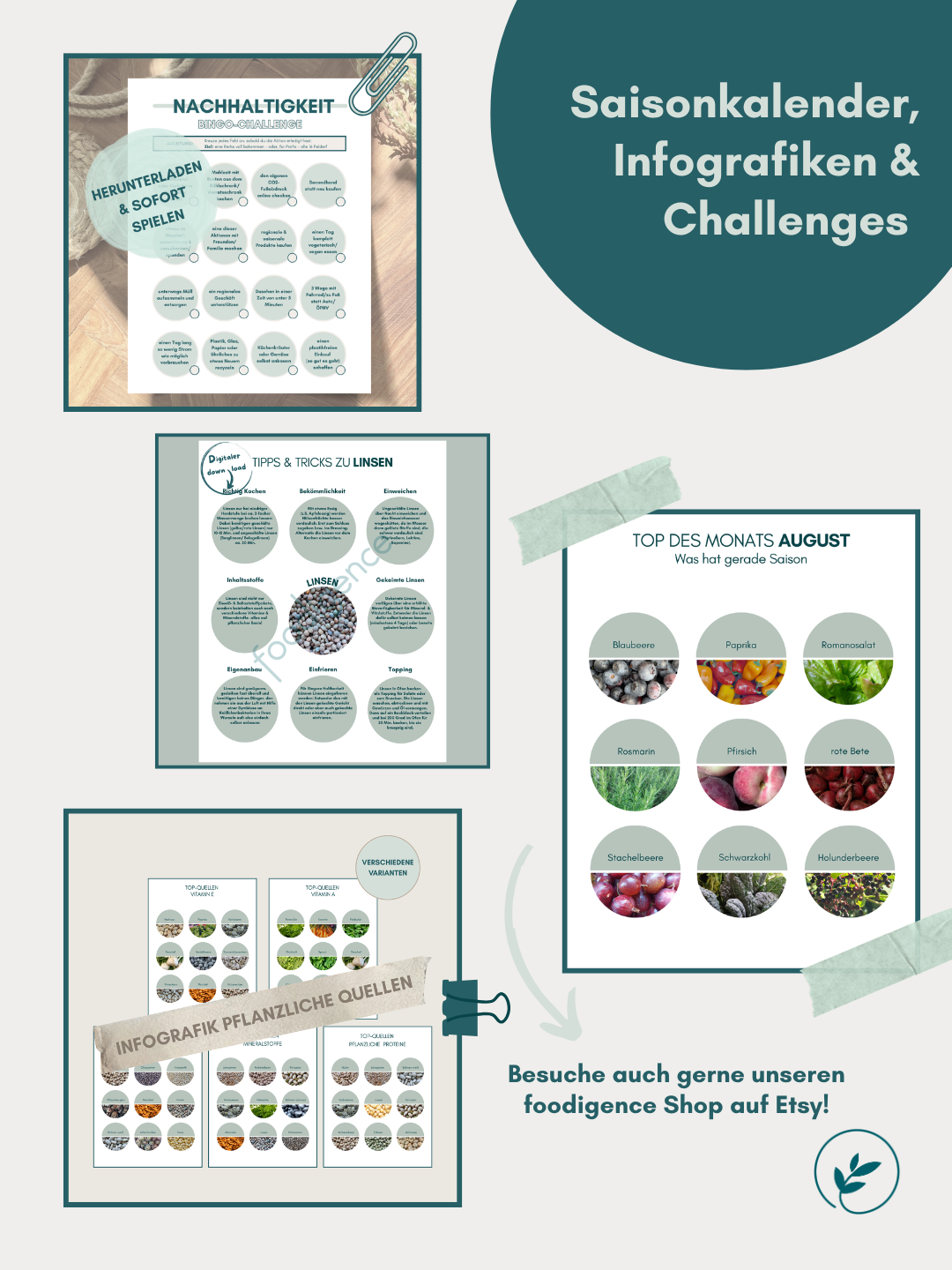 foodigence-übersicht zur Produktgruppe Saisonkalender, Infografiken & Challenges im Shop ideal für deinen bewussten nachhaltigen  Lifestyle