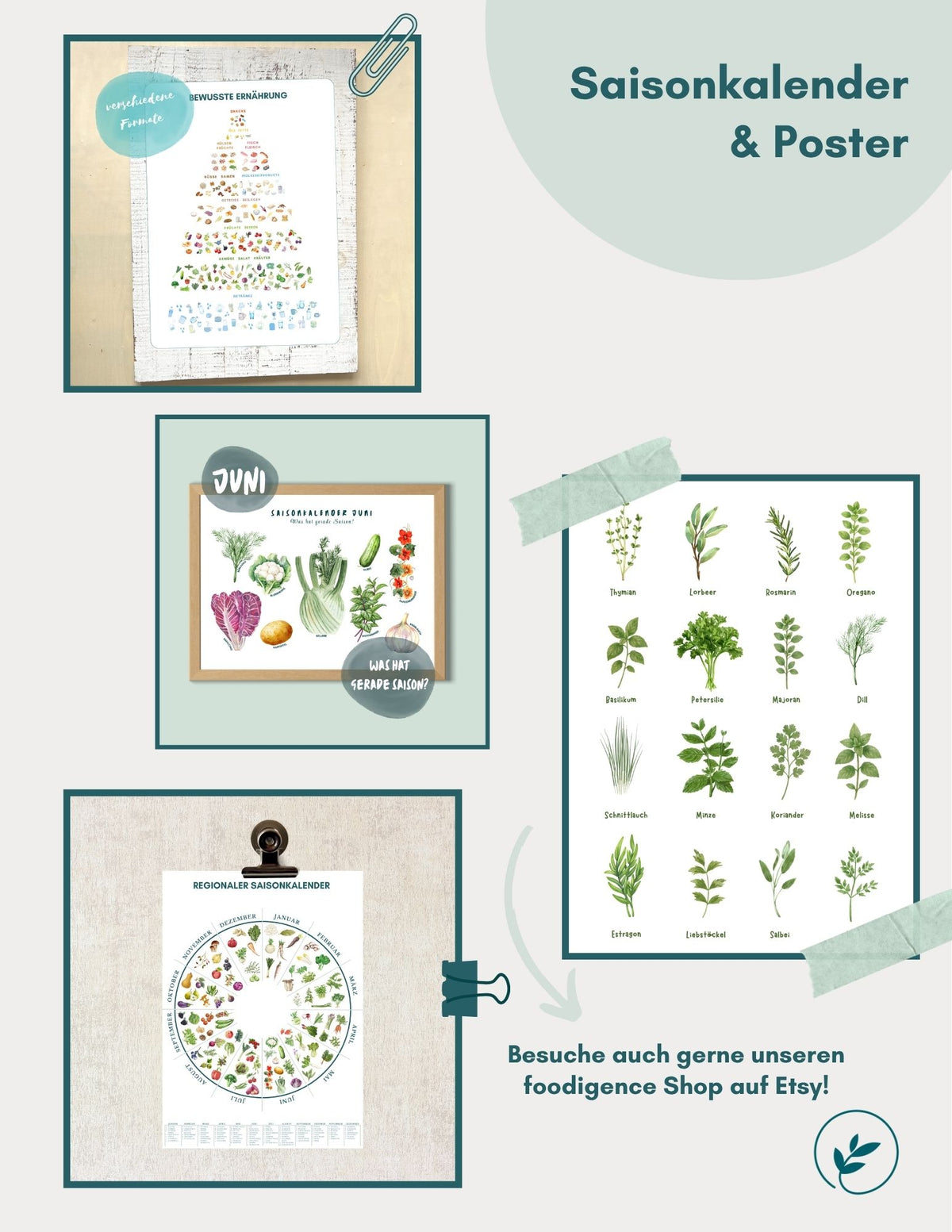 Übersicht foodigence Saisonkalender & Poster (Ernährungspyramide, Kräuterposter, Saisonkalender)