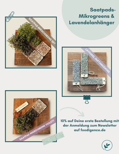 Übersicht foodigence Saatpads- Mikrogreens  Lavendelanhänger