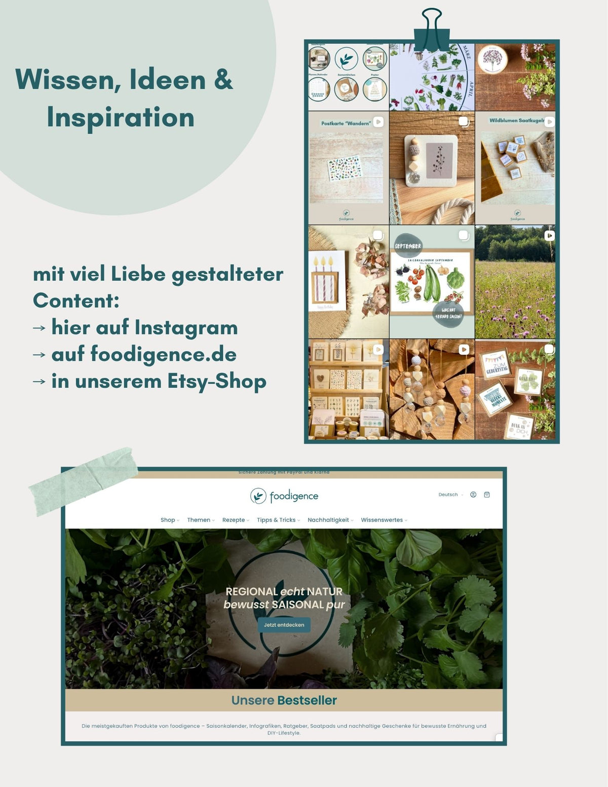 Übersicht foodigence Wiisen, Ideen & Inspiration Hinweis auf Instagram und Website 
