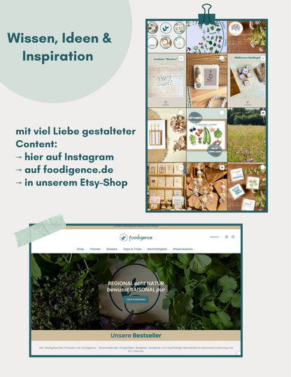 Übersicht foodigence Wiisen, Ideen & Inspiration Hinweis auf Instagram und Website 